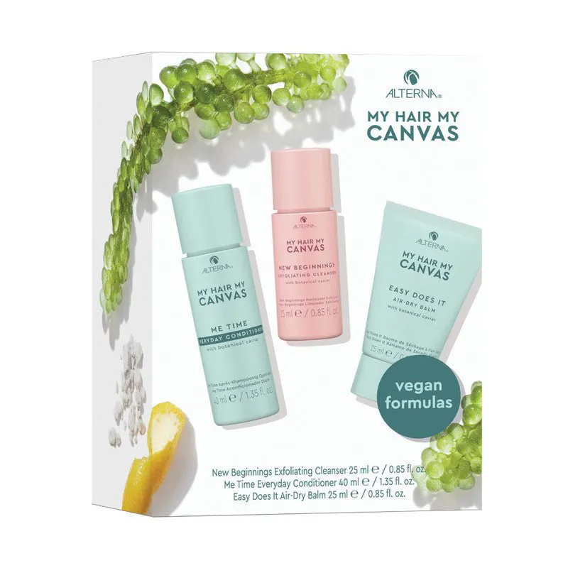 Alterna My Hair My Canvas Intro Kit