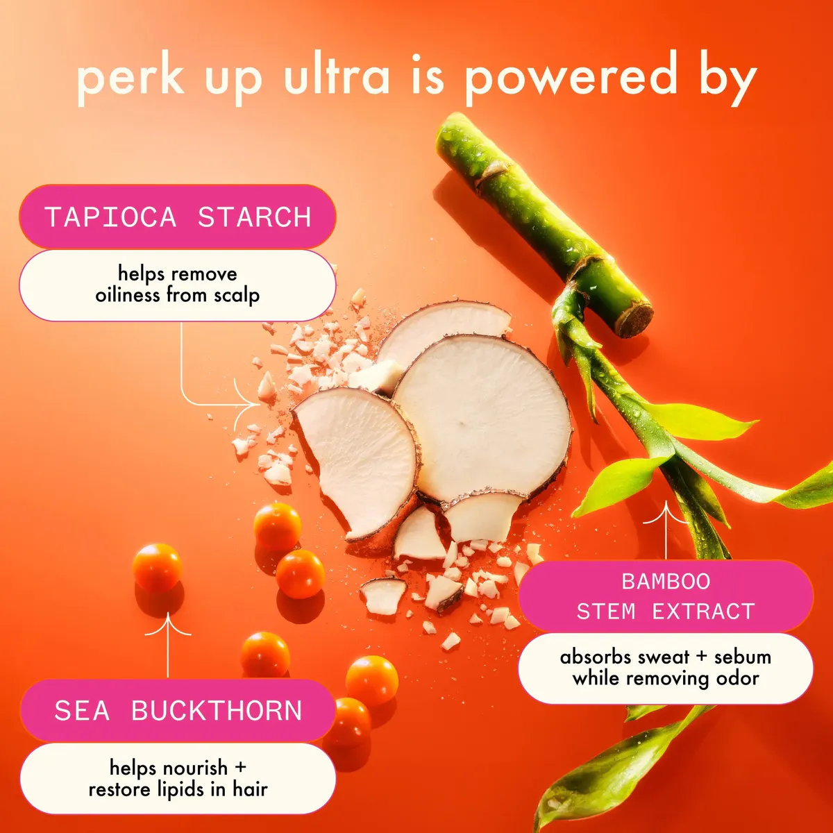 Amika Perk Up Ultra Oil Control Dry Shampoo 84ml, view 5