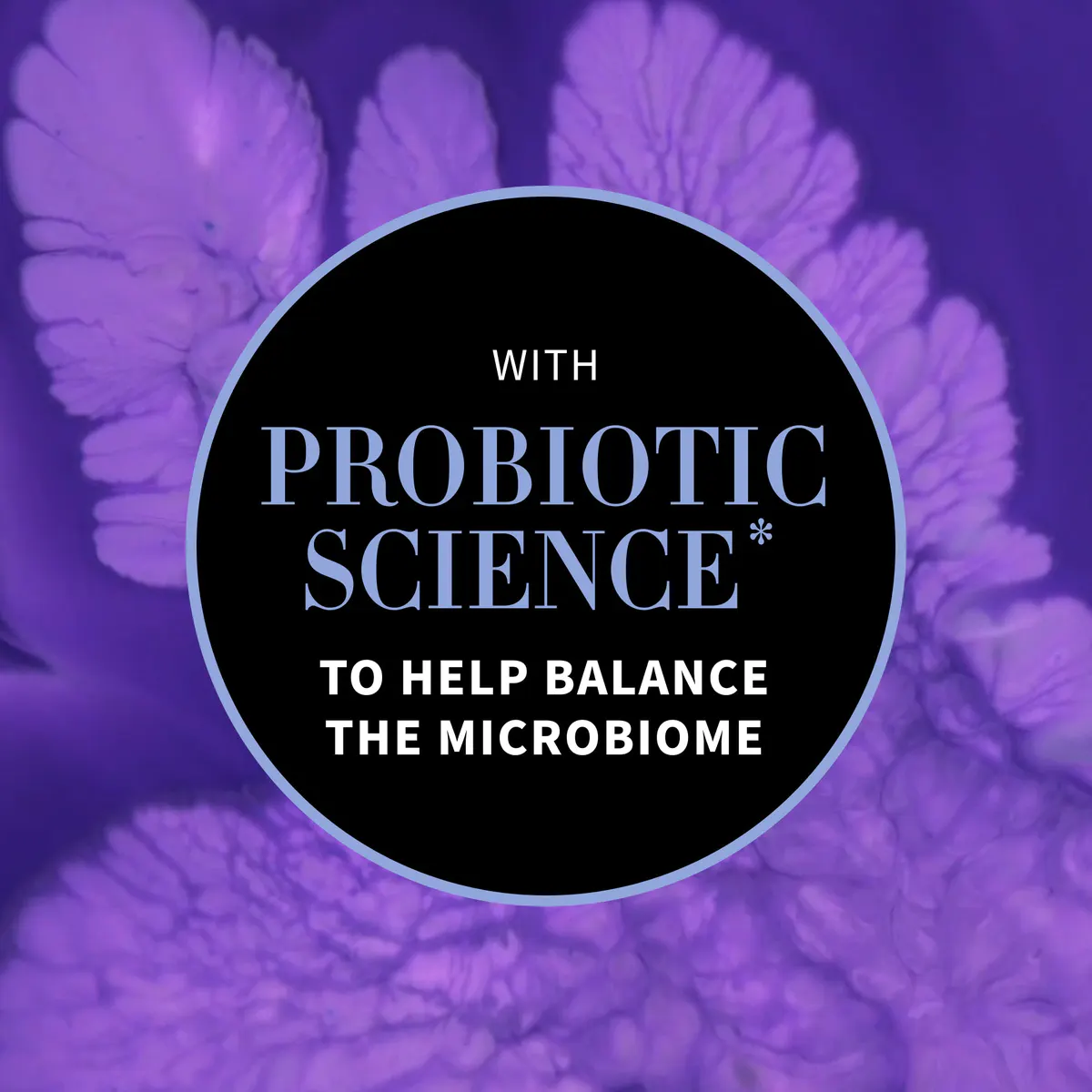 Antipodes Culture Probiotic Night Recovery Water Cream Mini 15ml, view 4