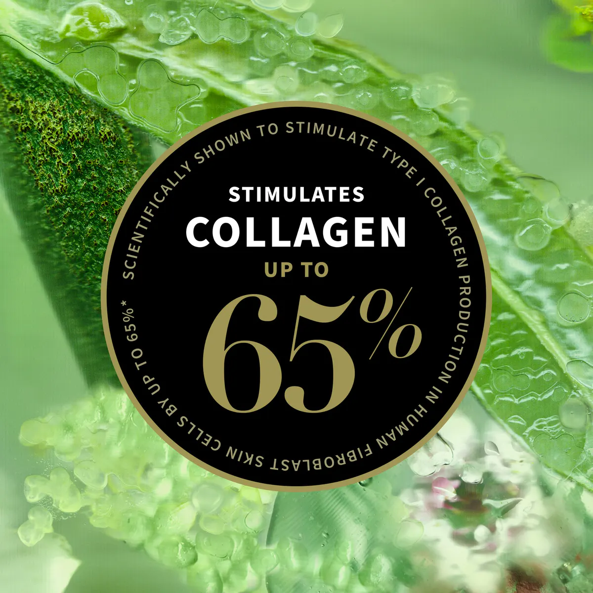 Antipodes Lime Caviar Collagen-Rich Firming Cream Mini 15ml, view 4
