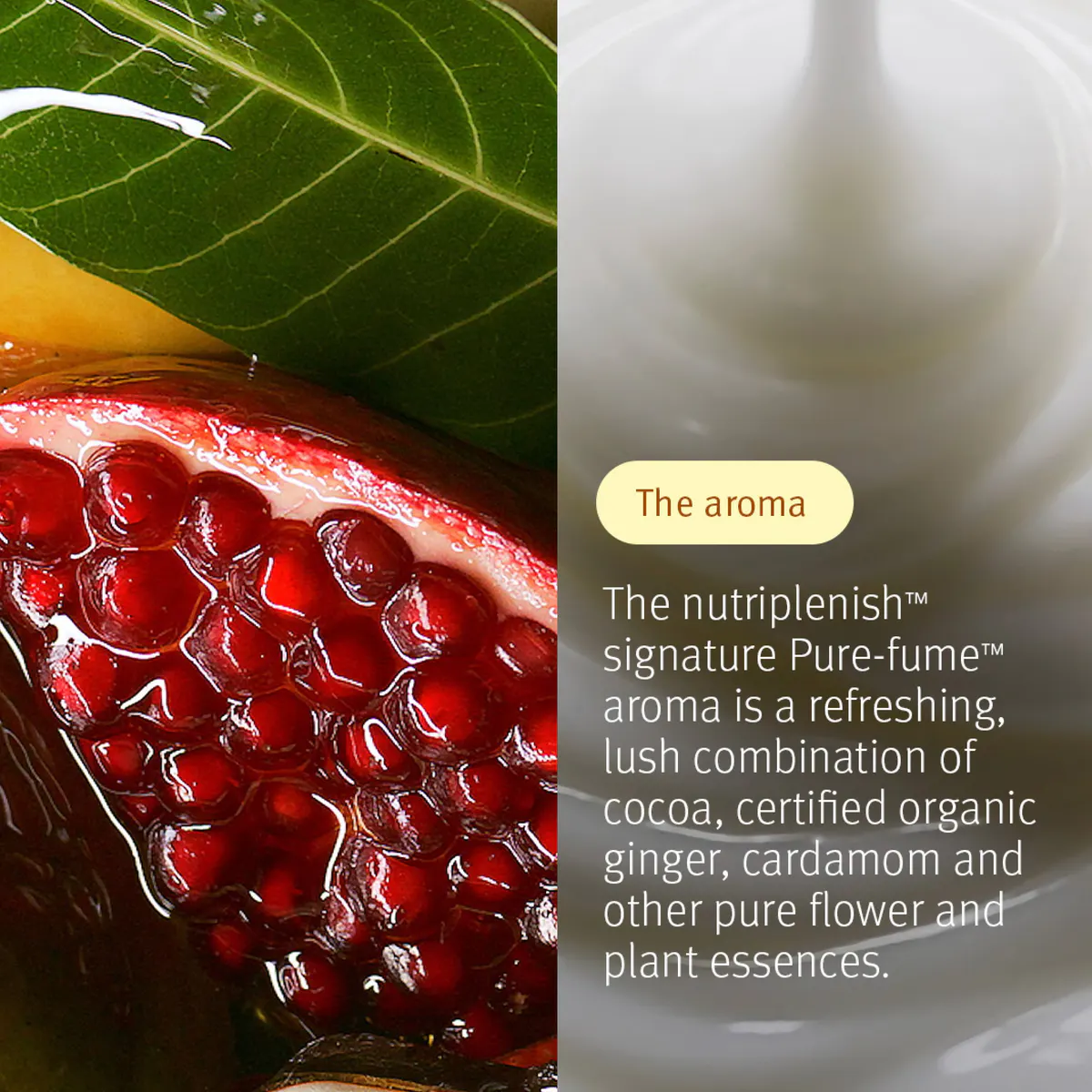 Aveda Moisture Marvels: Nutriplenish™ Hydrating Essentials Light, view 5
