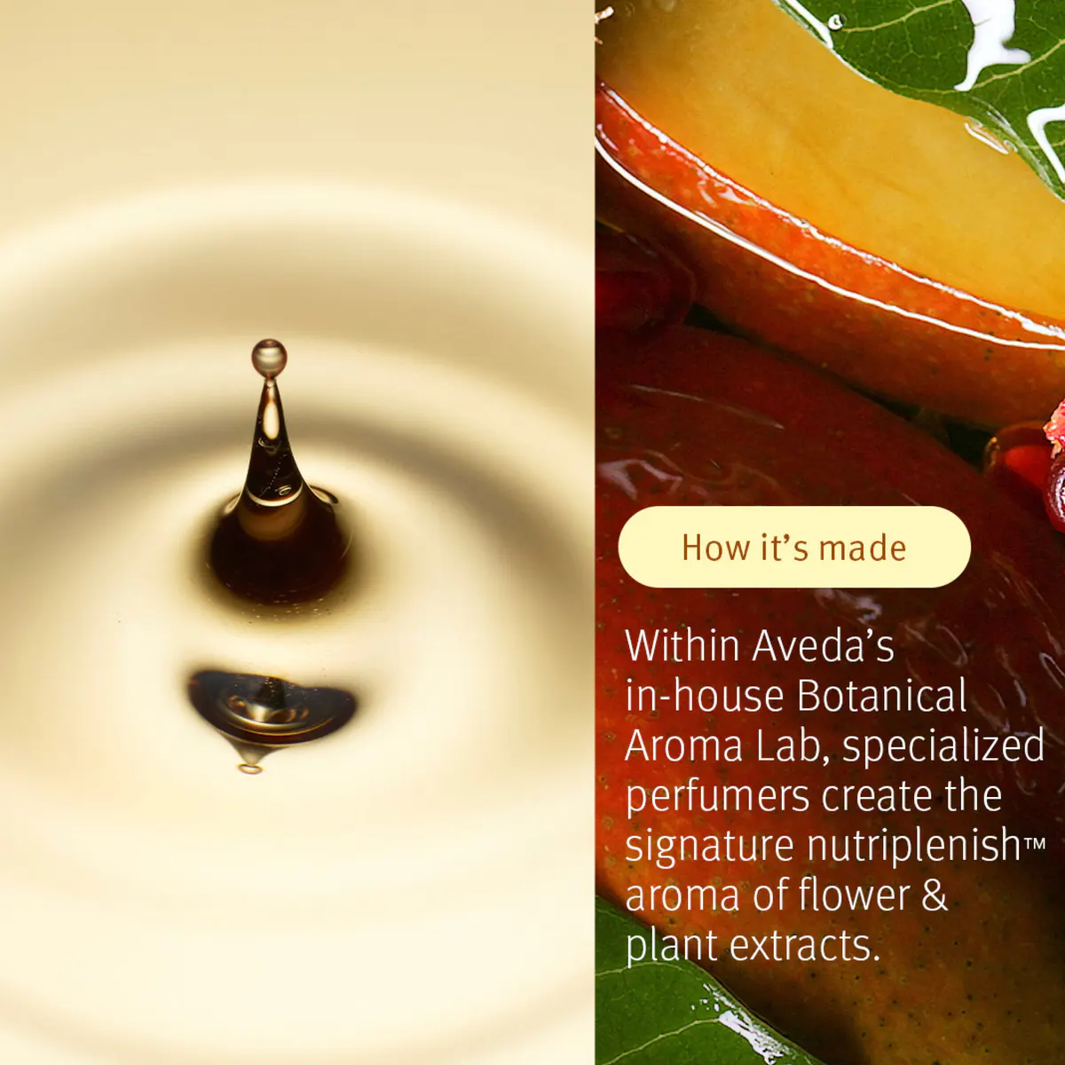 Aveda Moisture Marvels: Nutriplenish™ Hydrating Essentials Light, view 6