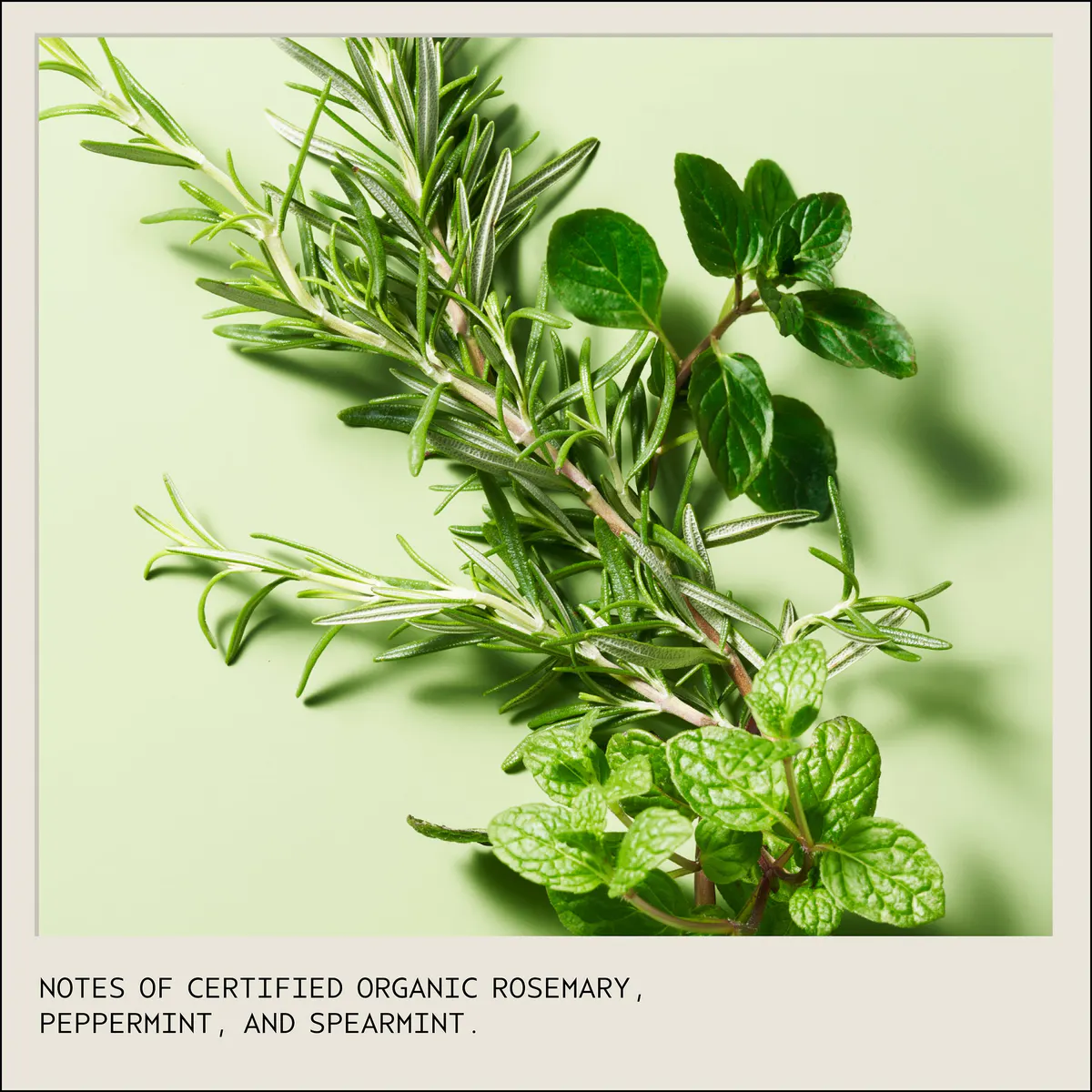Aveda Rosemary Mint Weightless Conditioner 250ml, view 4