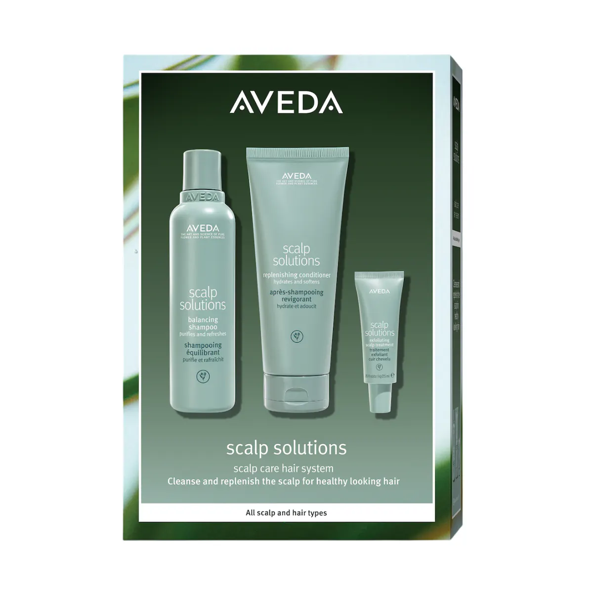 Aveda Scalp Solutions Set, view 2