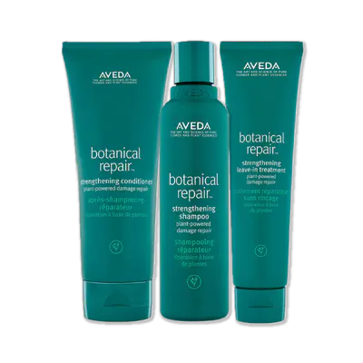 Aveda Botanical Repair Trio Bundle w/ Leave In Treatment