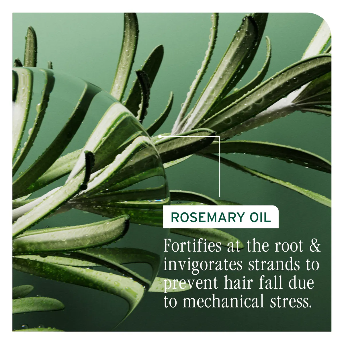 Biolage Full Rescue Shampoo 400ml, view 6