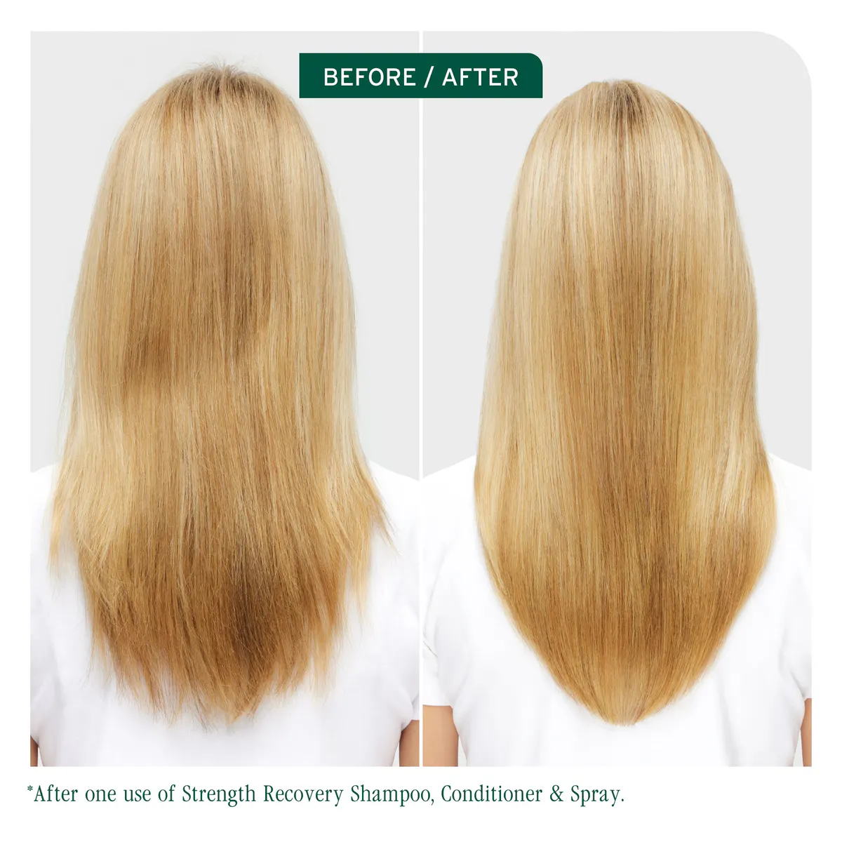 Biolage Strength Recovery Complete Quad Bundle, view 2