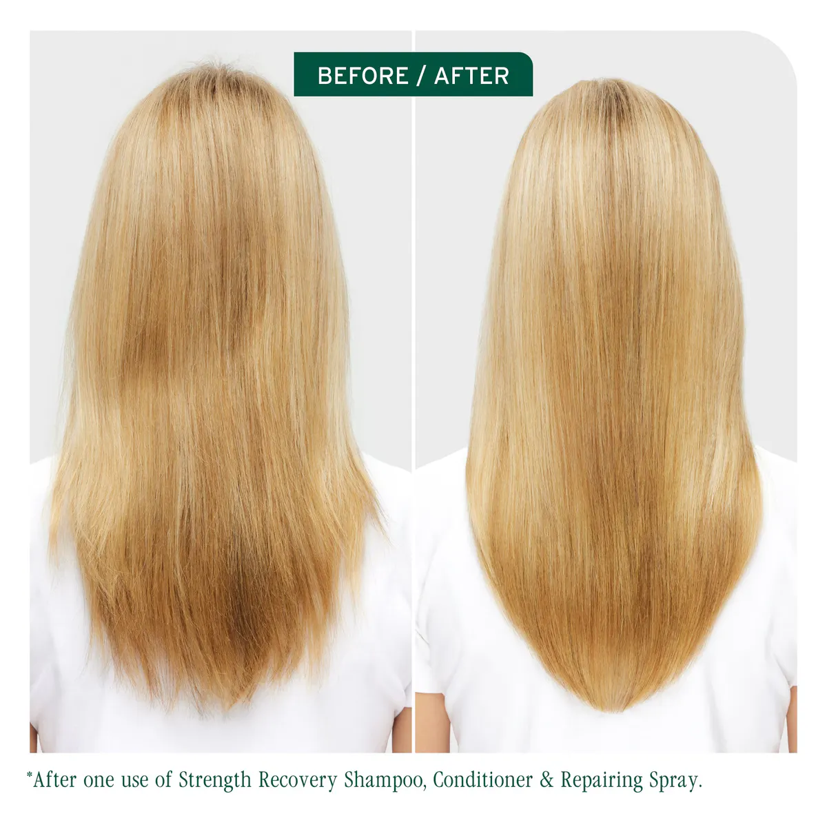 Biolage Strength Recovery Shampoo 400ml, view 2