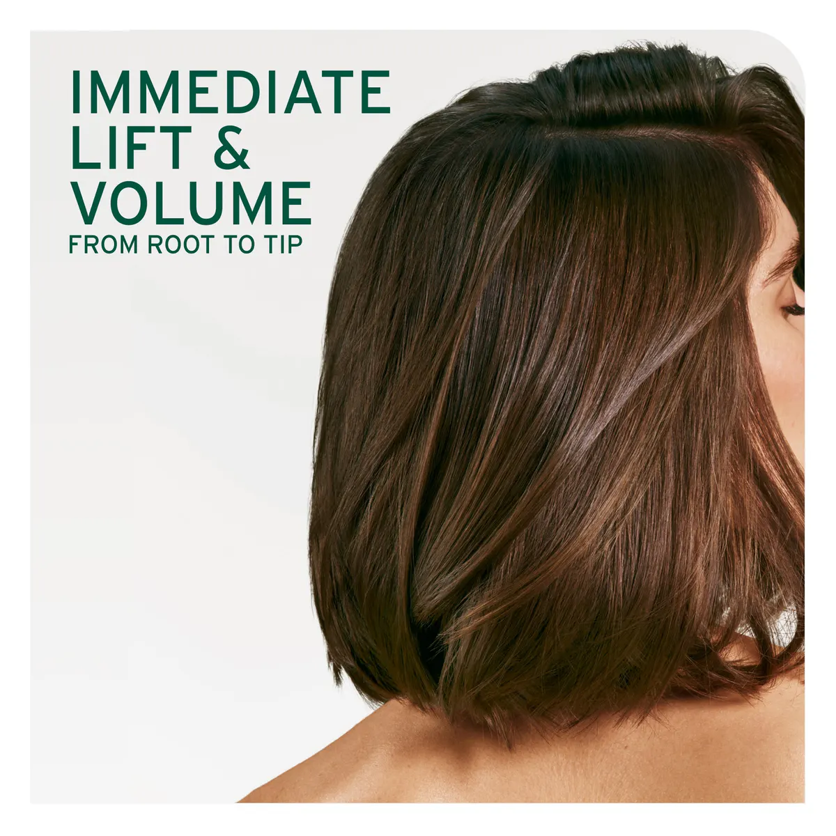 Biolage Volume Boost 400ml Duo Pack, view 5