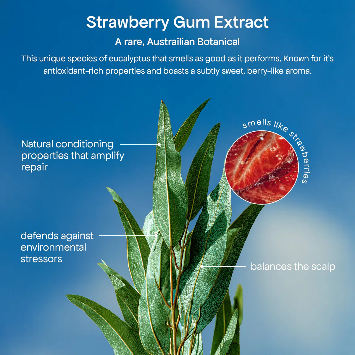 Bondi Boost Strawberry Gum Miracle Hair Mask 250ml, view 4
