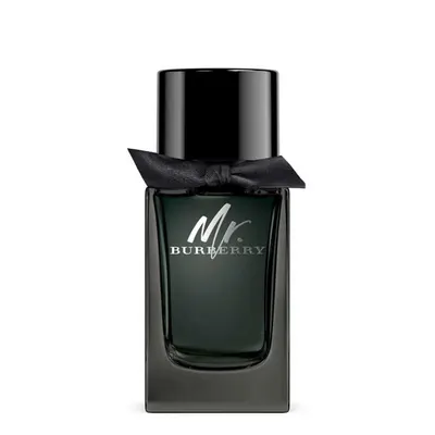 Burberry Mr. Burberry EDP 100ML