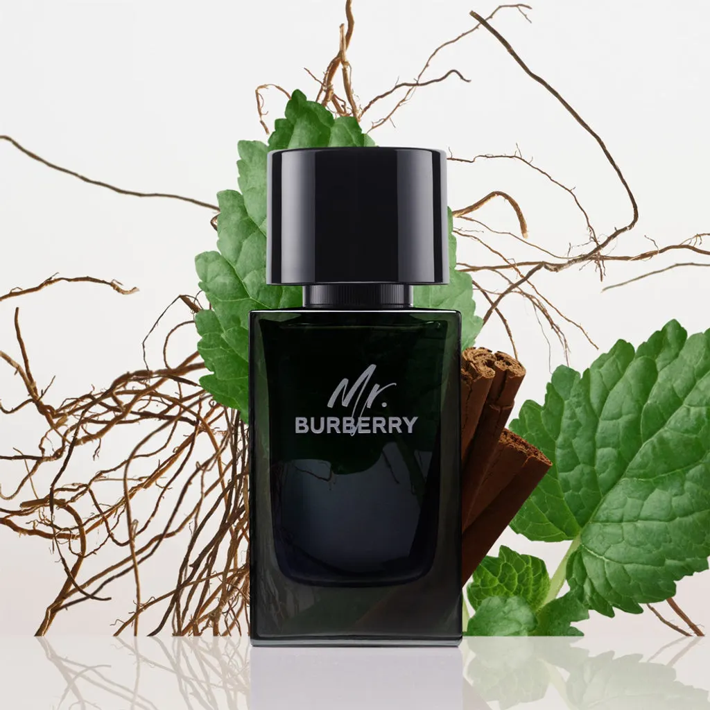 Burberry Mr. Burberry EDP 100ML, view 3