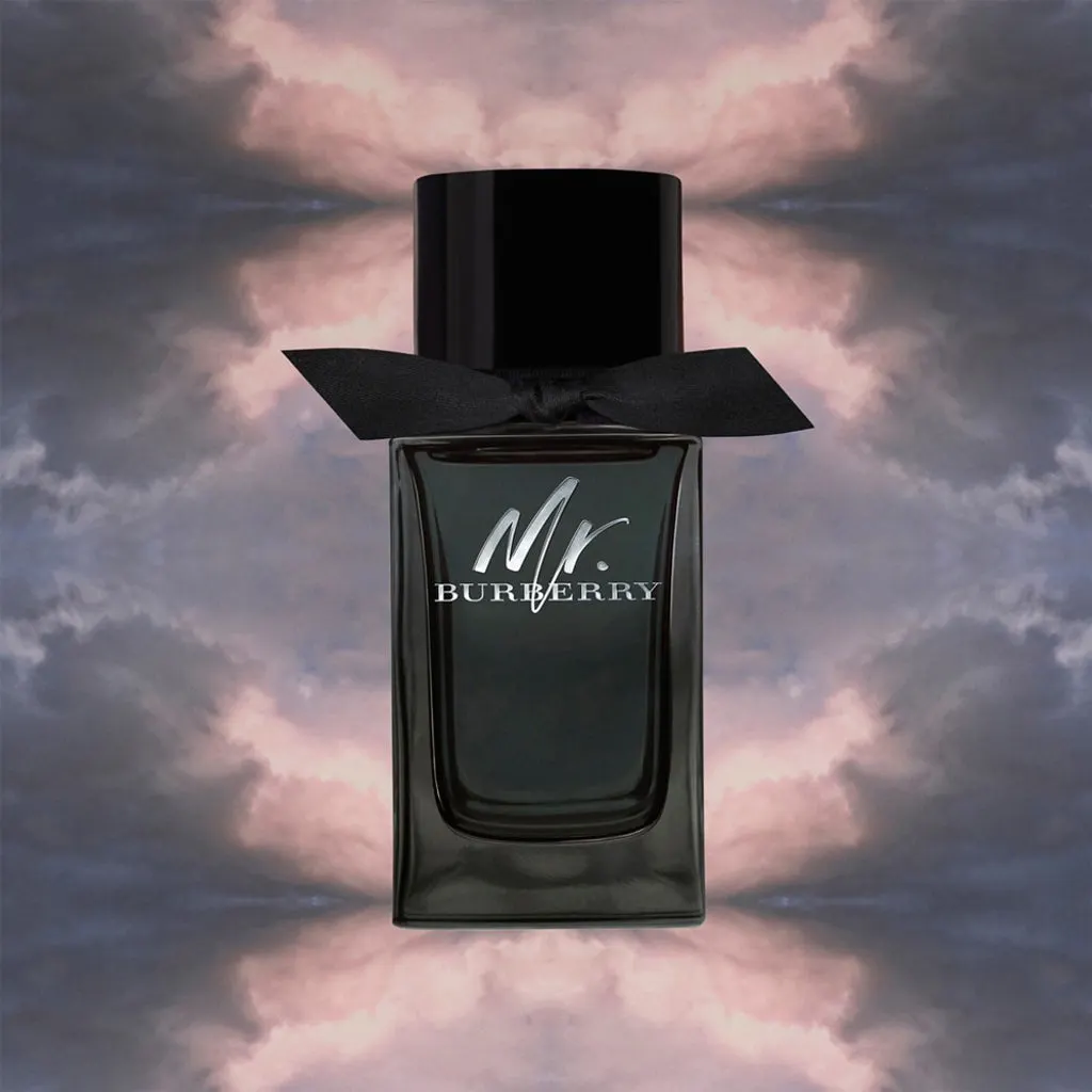 Burberry Mr. Burberry EDP 100ML, view 4