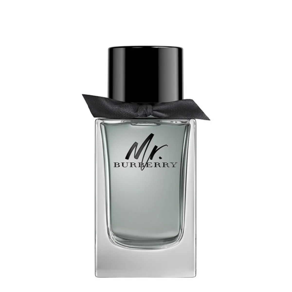Burberry Mr. Burberry EDT 100ML