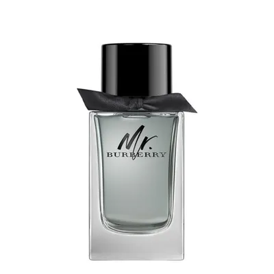 Burberry Mr. Burberry EDT 100ML