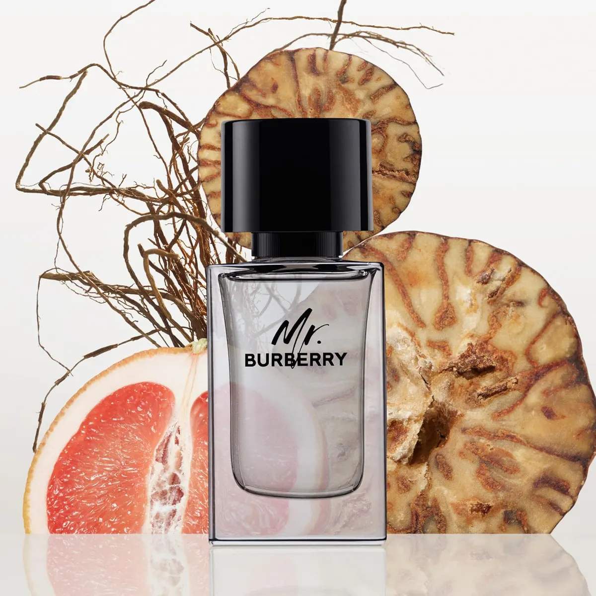 Burberry Mr. Burberry EDT 100ML, view 3