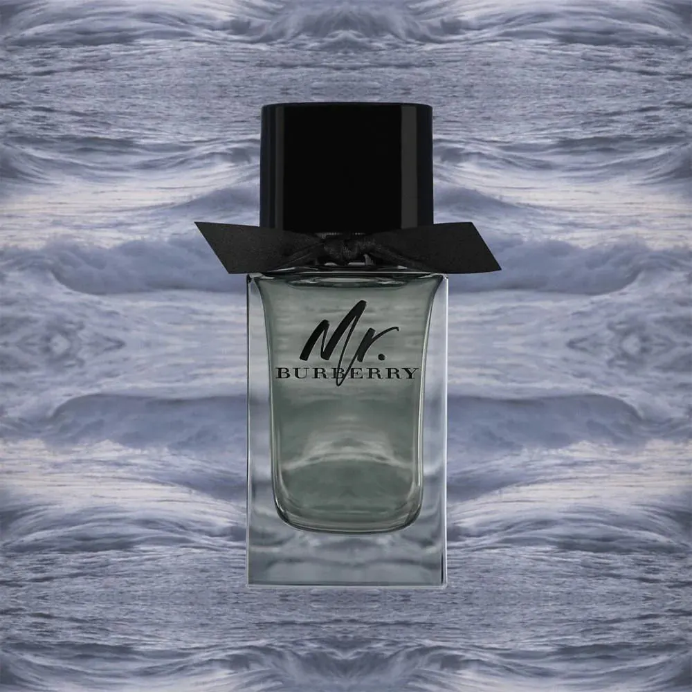Burberry Mr. Burberry EDT 100ML, view 4