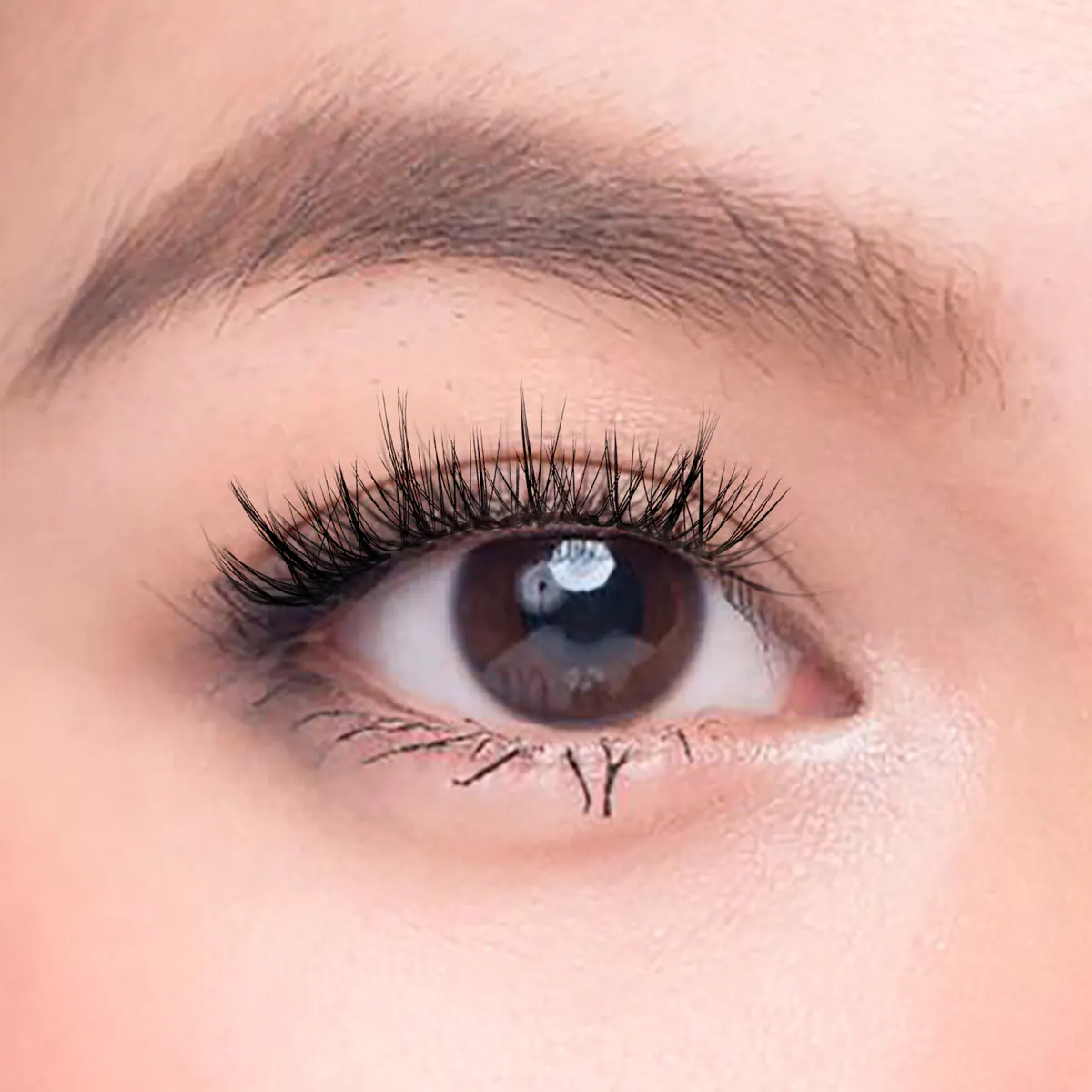 Char Cosmetics Blush Macaron Lash 24pcs, view 3