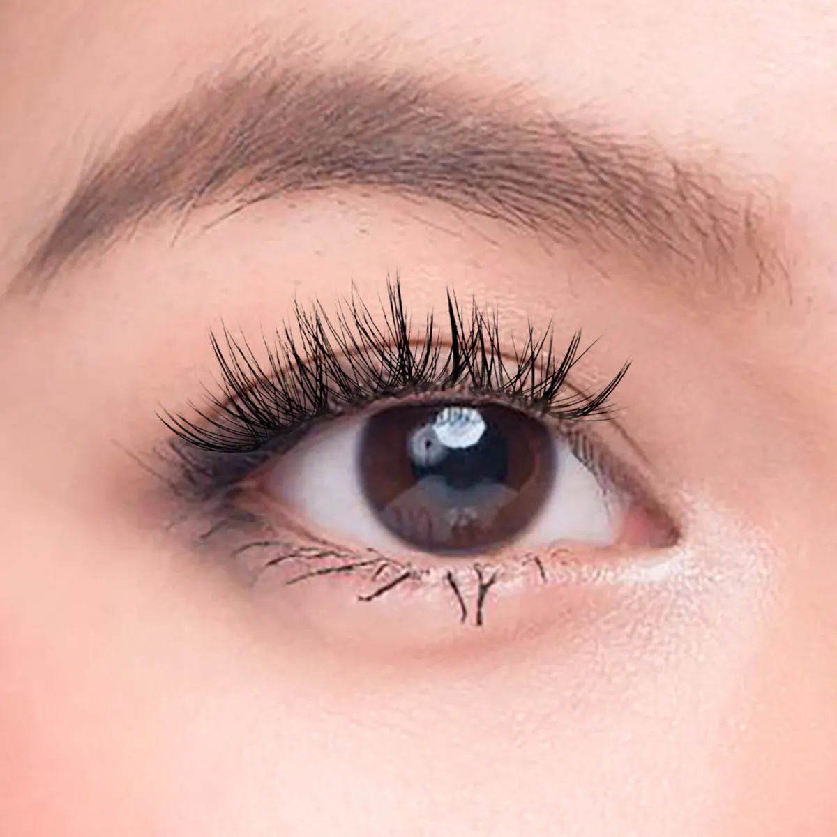 Char Cosmetics Dreamy Dozen Lash 24pcs, view 3