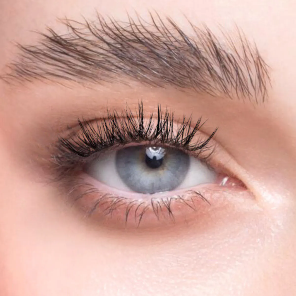 Char Cosmetics Dreamy Dozen Lash 24pcs, view 4
