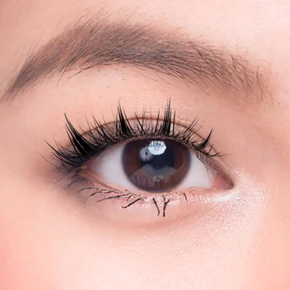 Char Cosmetics Lash Macarons 20pcs, view 3