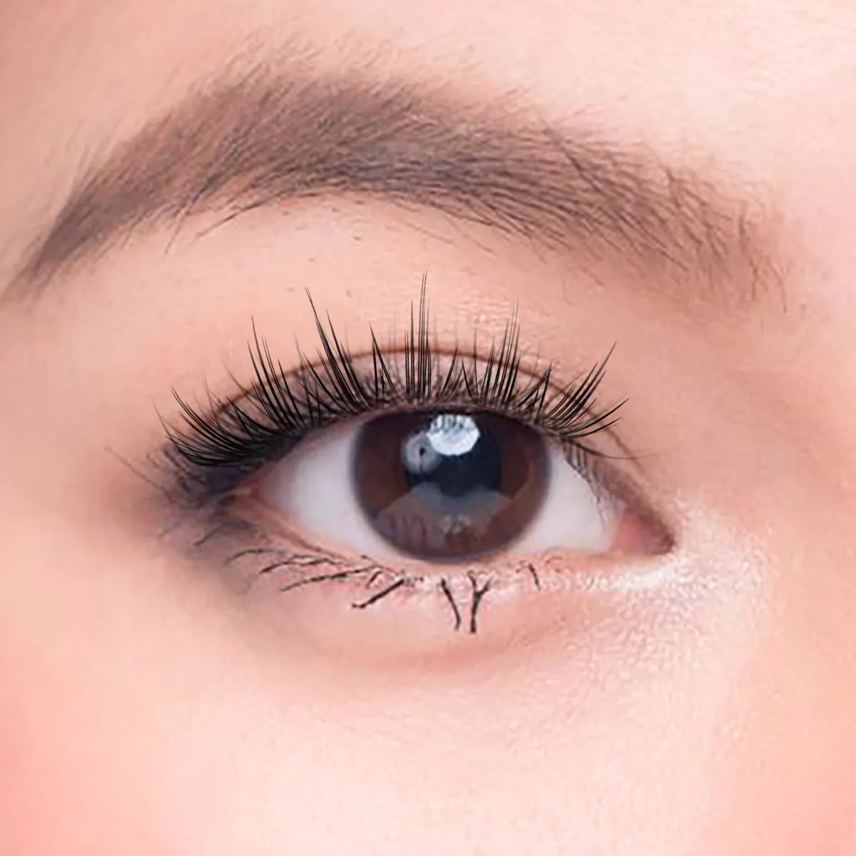 Char Cosmetics Macaron Kiss Lash 24pcs, view 3