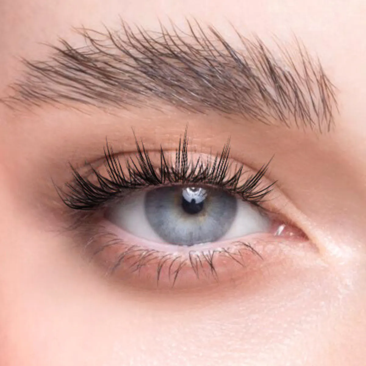 Char Cosmetics Macaron Kiss Lash 24pcs, view 4