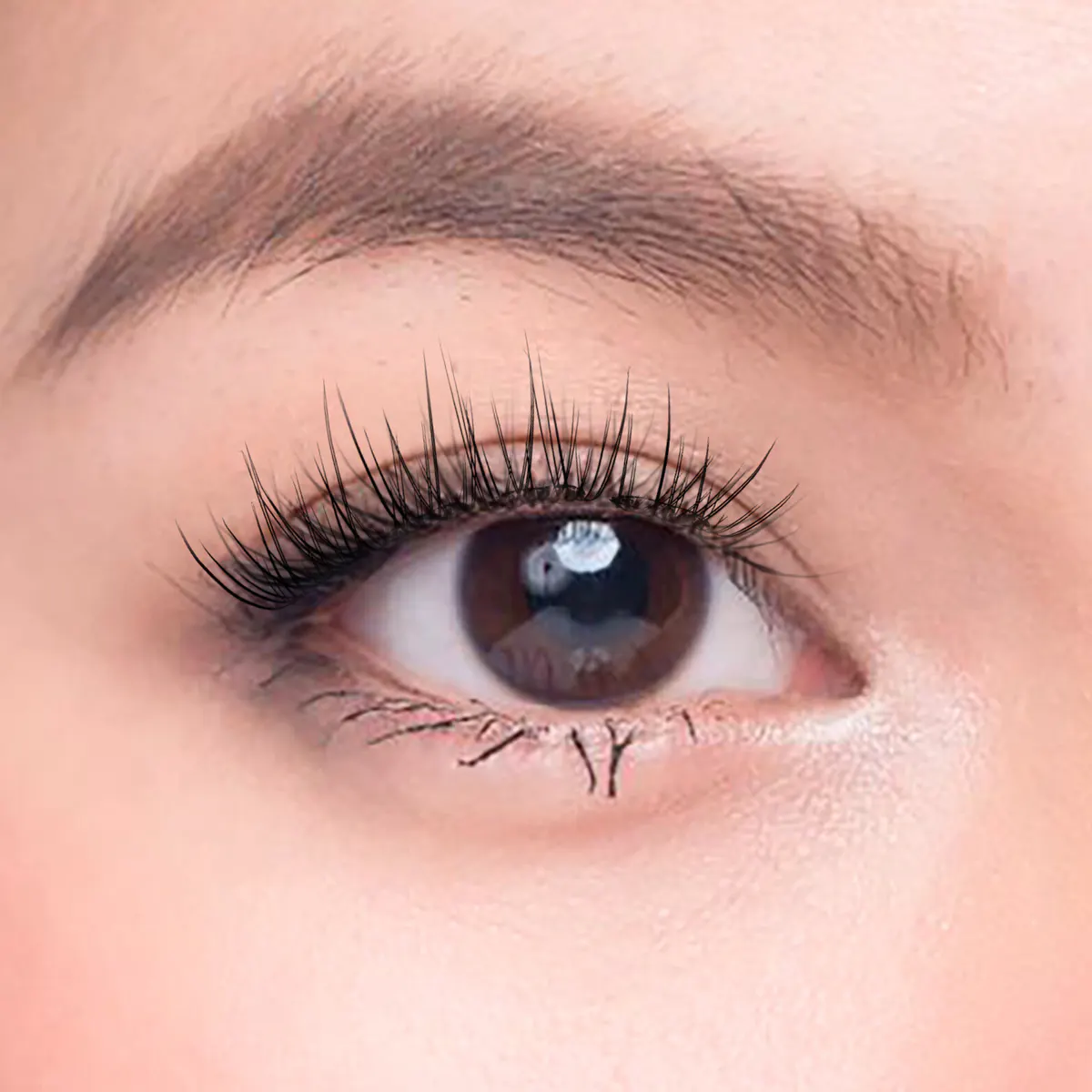Char Cosmetics Sugar Puff Lash 24pcs, view 3