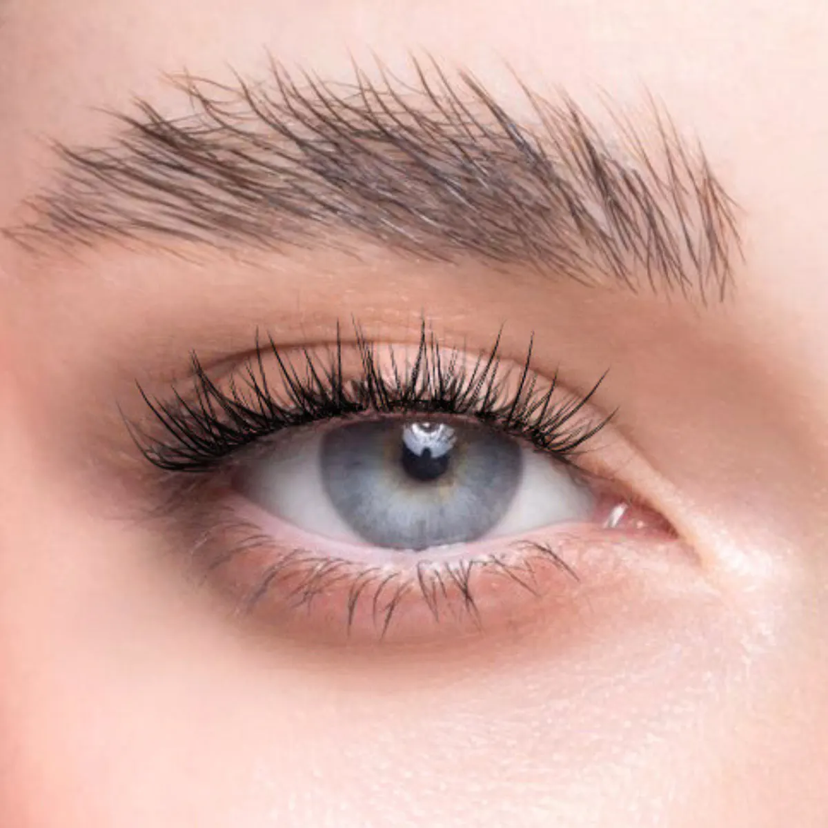 Char Cosmetics Sugar Puff Lash 24pcs, view 4