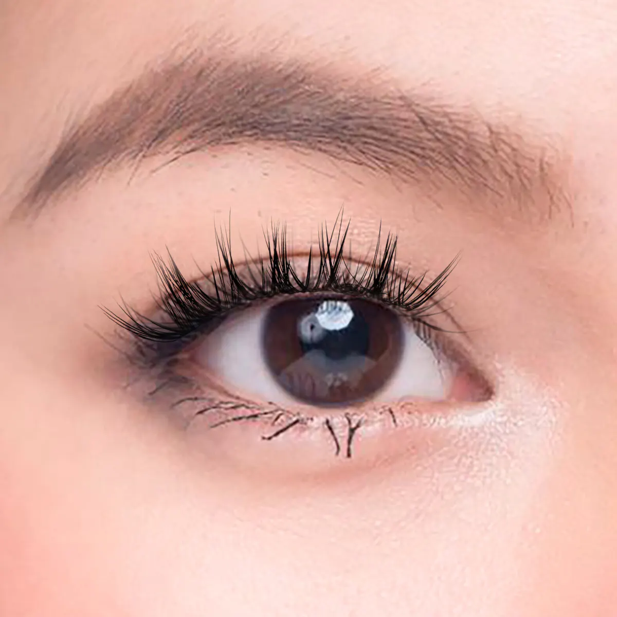 Char Cosmetics Sweet Whispies Lash 24pcs, view 3