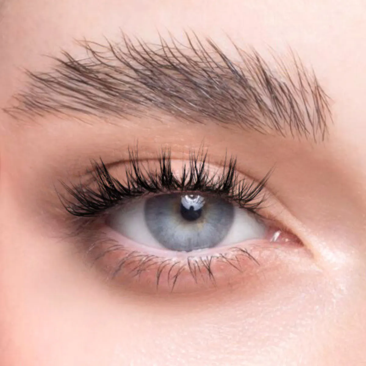 Char Cosmetics Sweet Whispies Lash 24pcs, view 4