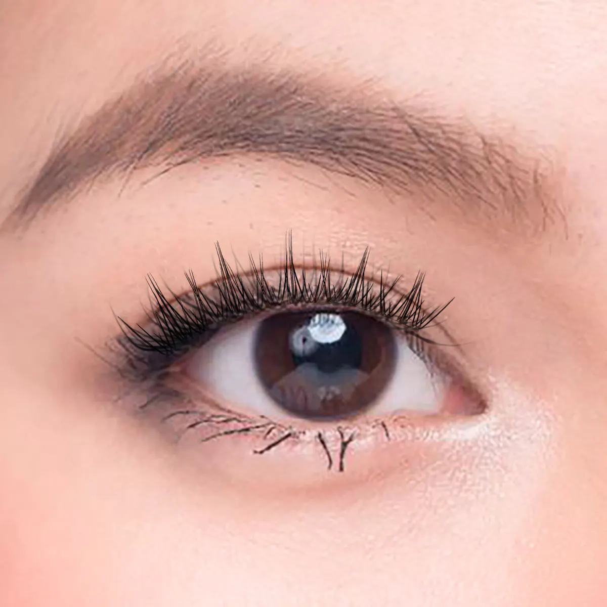 Char Cosmetics Whipped Cutie Lash 24pcs, view 3