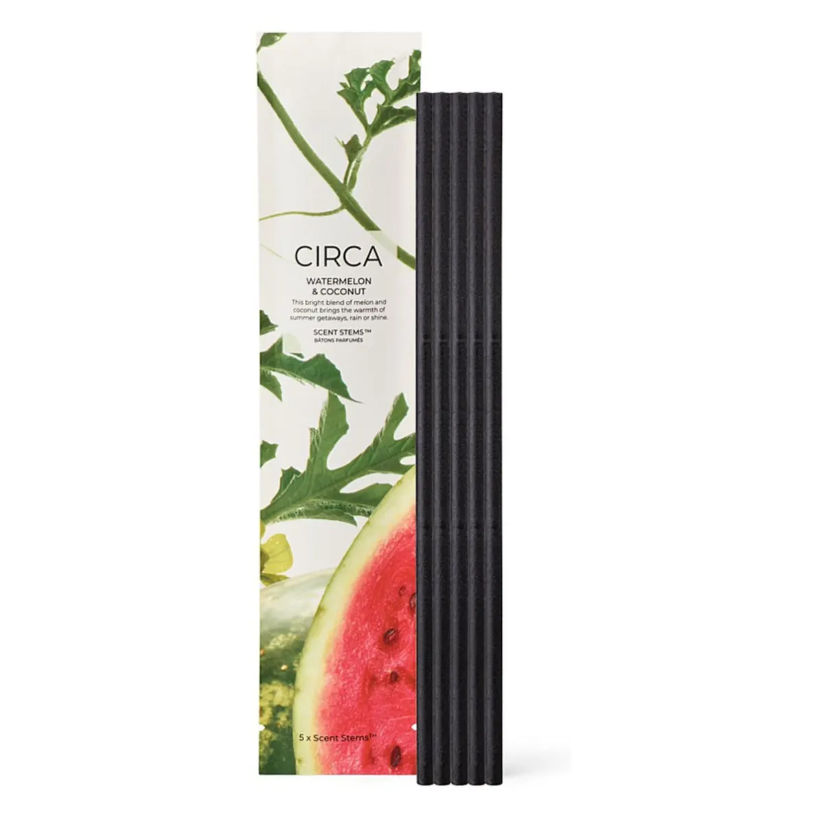 CIRCA 5 Replacement Scent Stems - Coconut & Watermelon