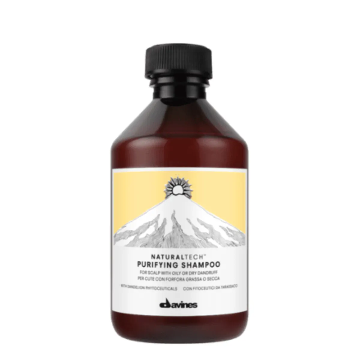 Davines Natural Tech Purifying Shampoo 250ml