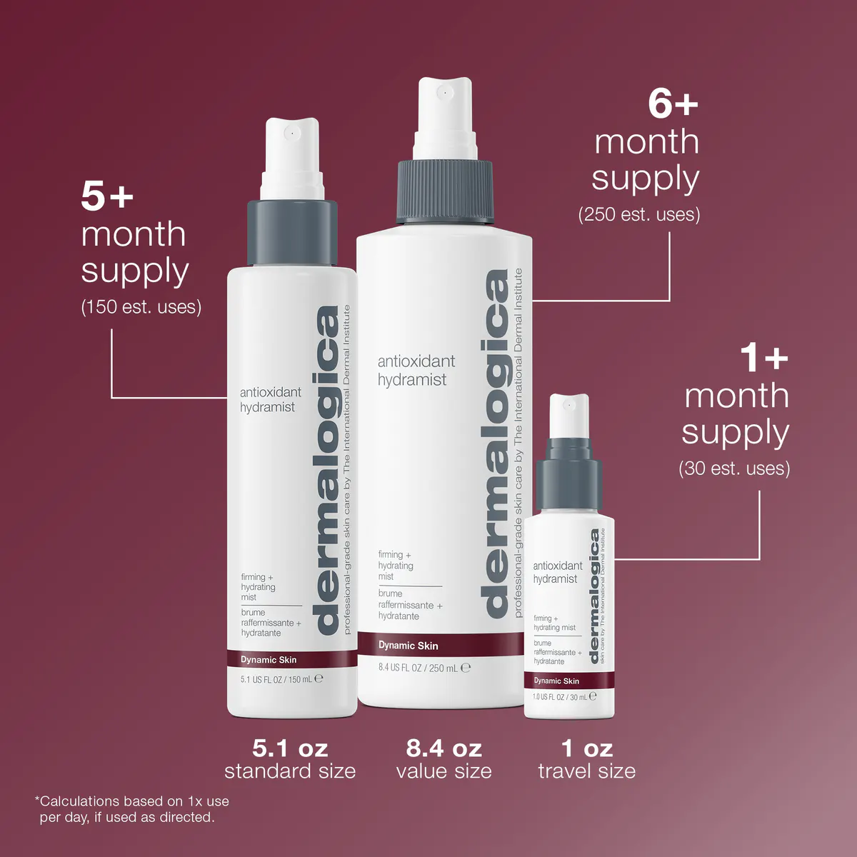 Dermalogica Antioxidant HydraMist Travel Size 30ml, view 6