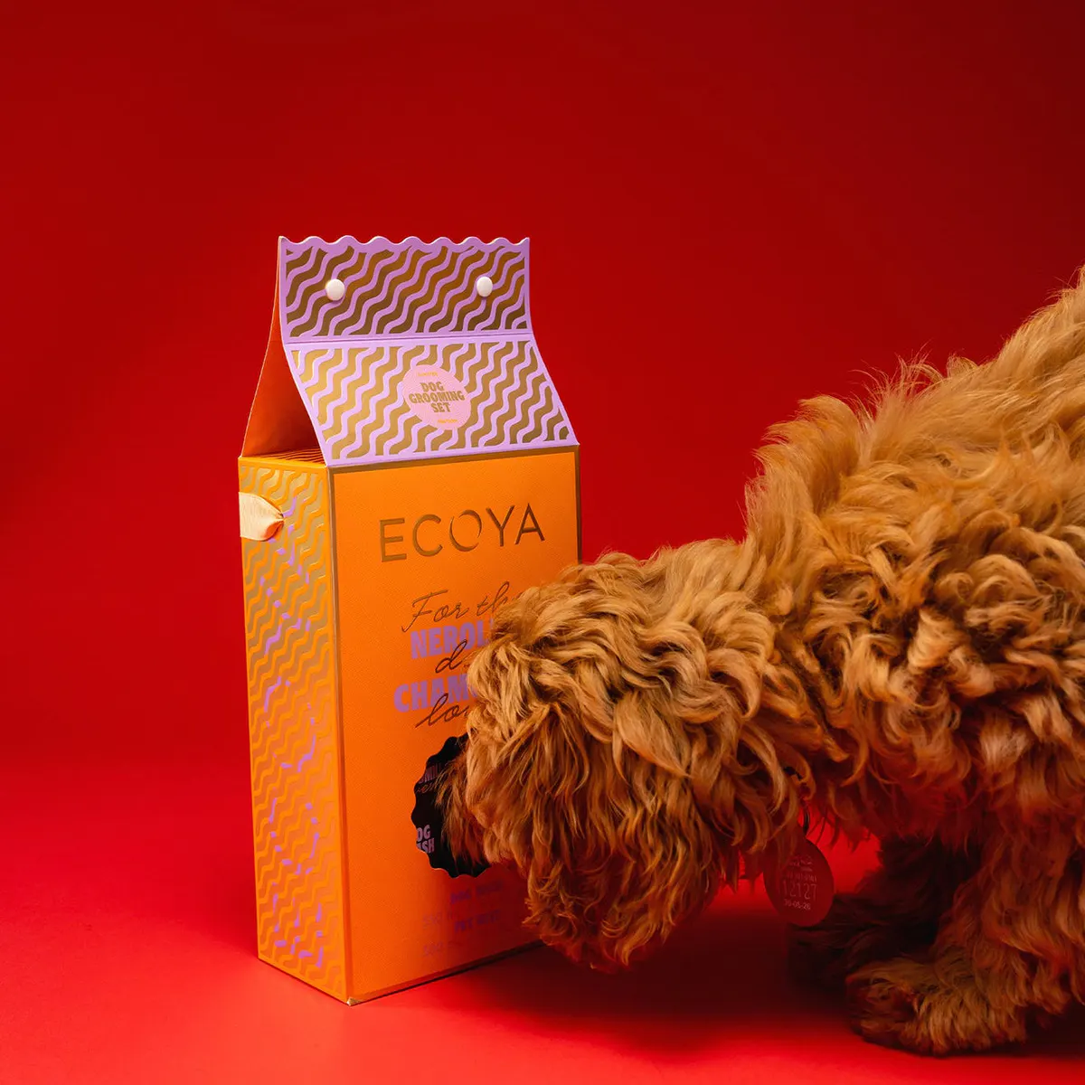 ECOYA Dog Grooming Pack - Neroli & Chamomile, view 2