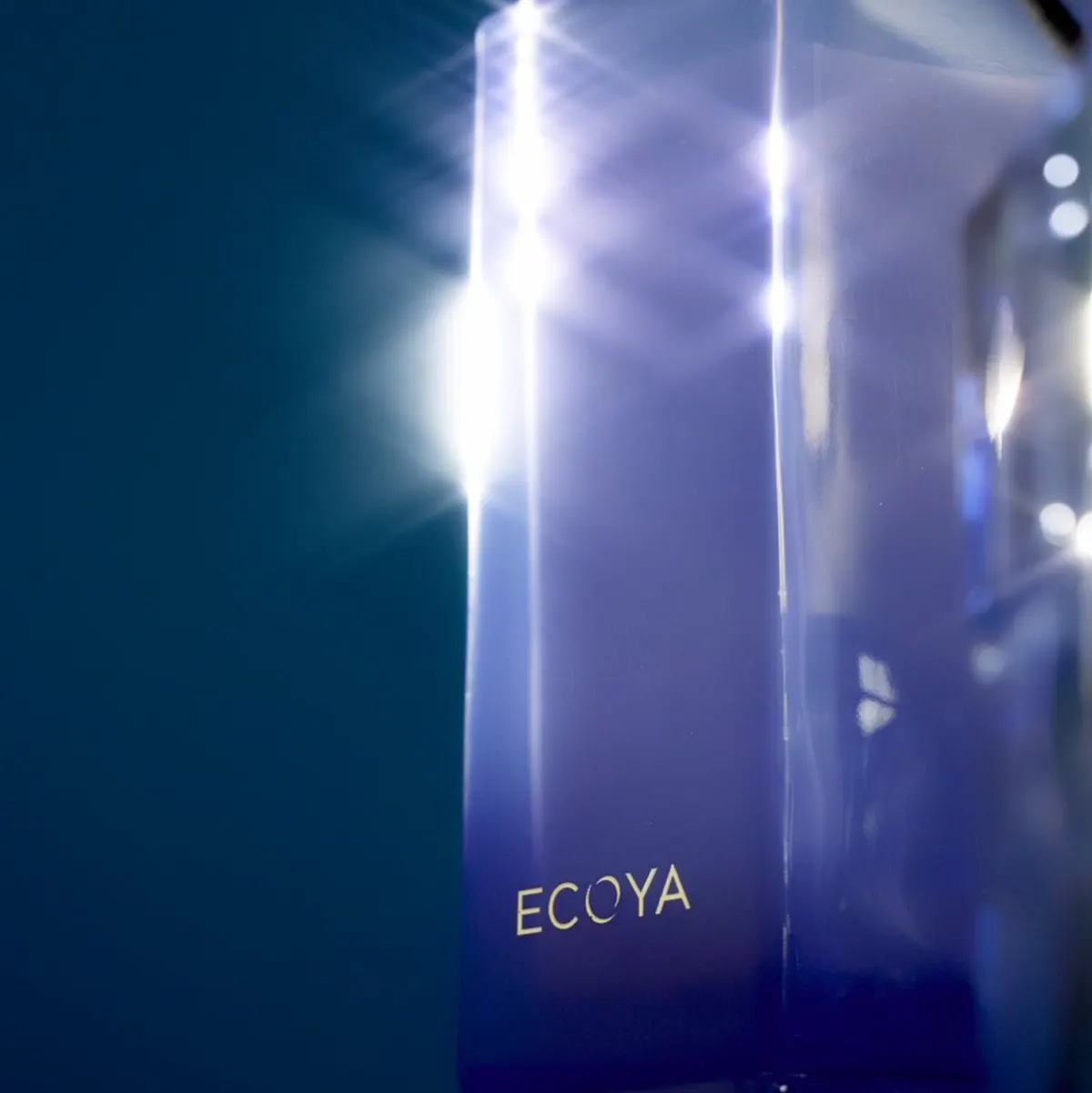 ECOYA Keepsake Candle 2 550g, view 3