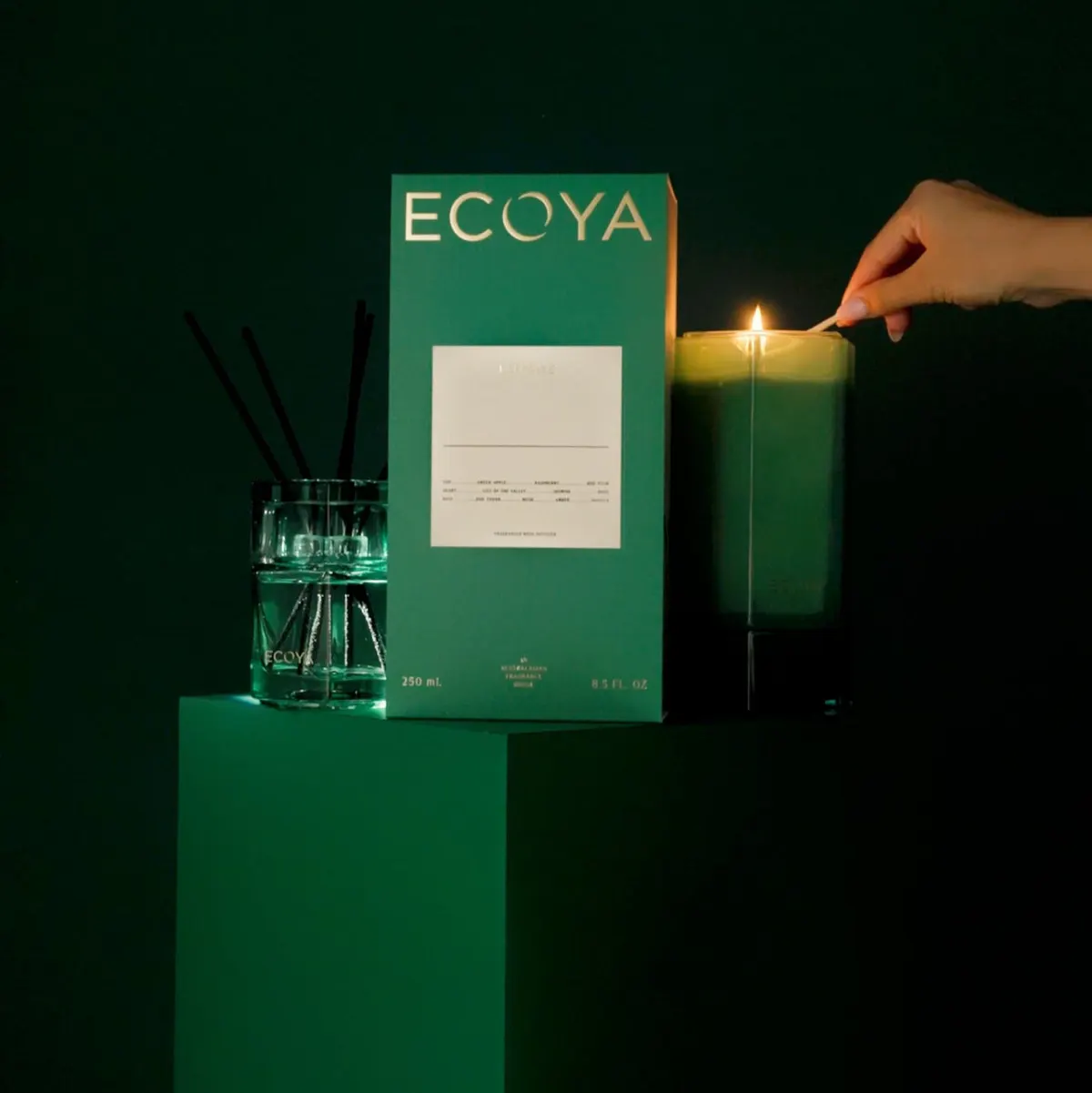 ECOYA Keepsake Candle 3 550g, view 2