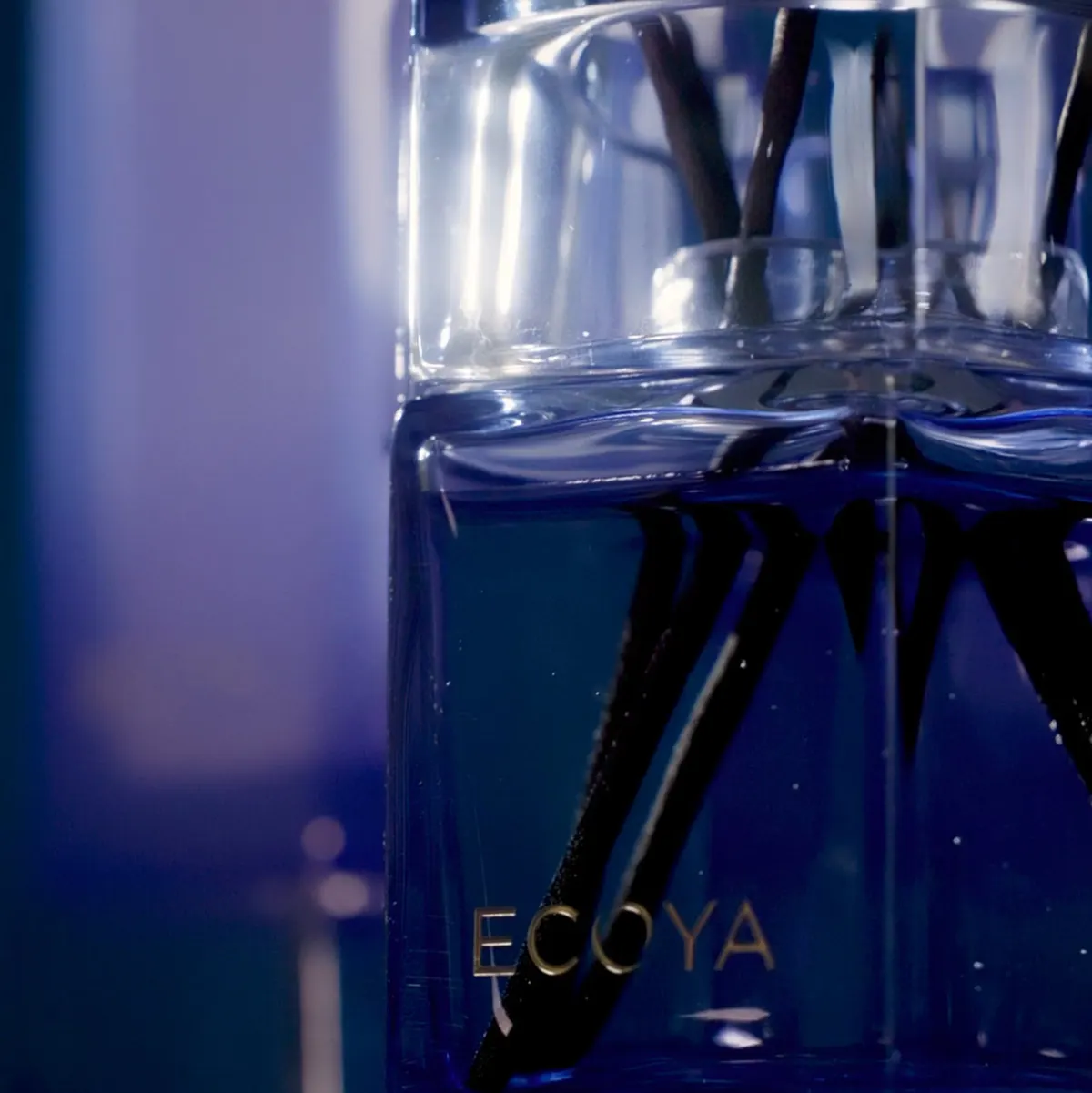ECOYA Keepsake Diffuser 2 250ml, view 3