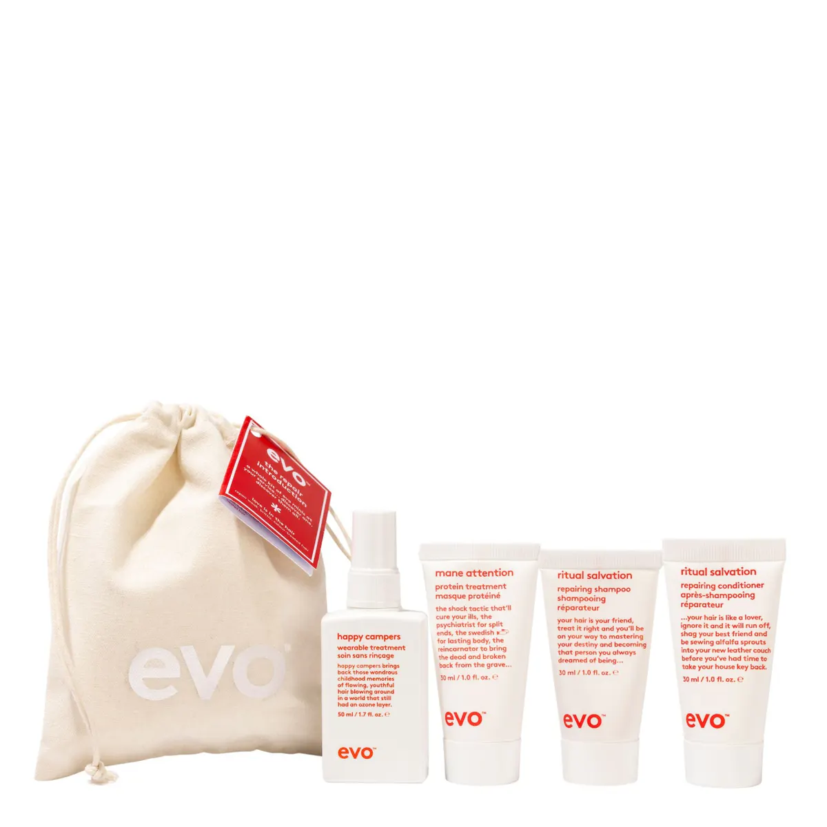 Evo Mane Introduction - Repair