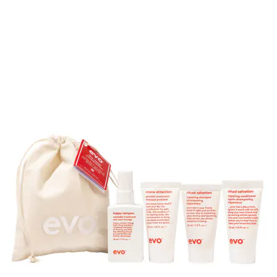 Evo Mane Introduction - Repair