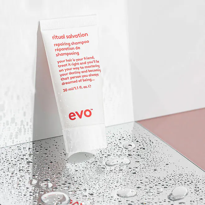 Evo Mane Introduction - Repair, view 2
