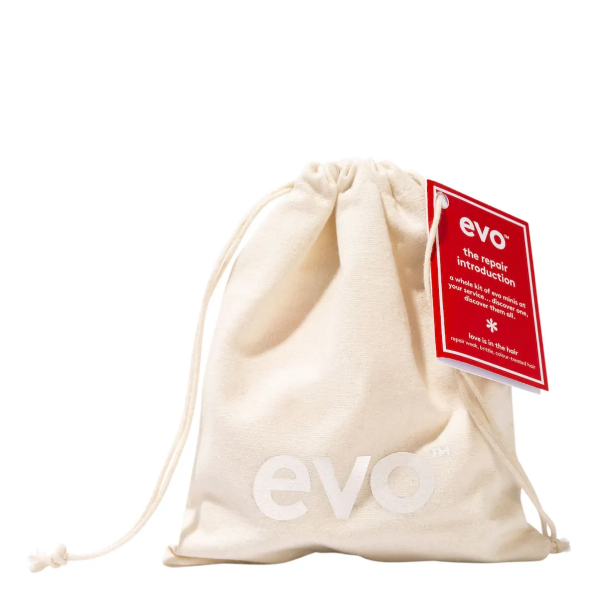 Evo Mane Introduction - Repair, view 6
