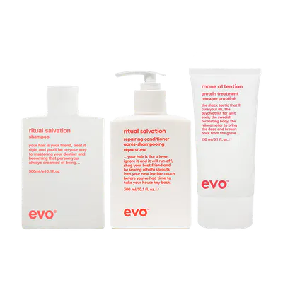 Evo Ritual Salvation Repairing Trio Bundle