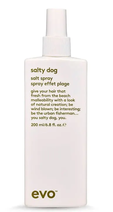 Evo Salty Dog Salty Spray and Haze Styling Powder Duo Bundle, view 5