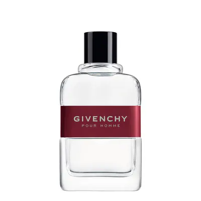Givenchy Pour Homme EDT 100ML