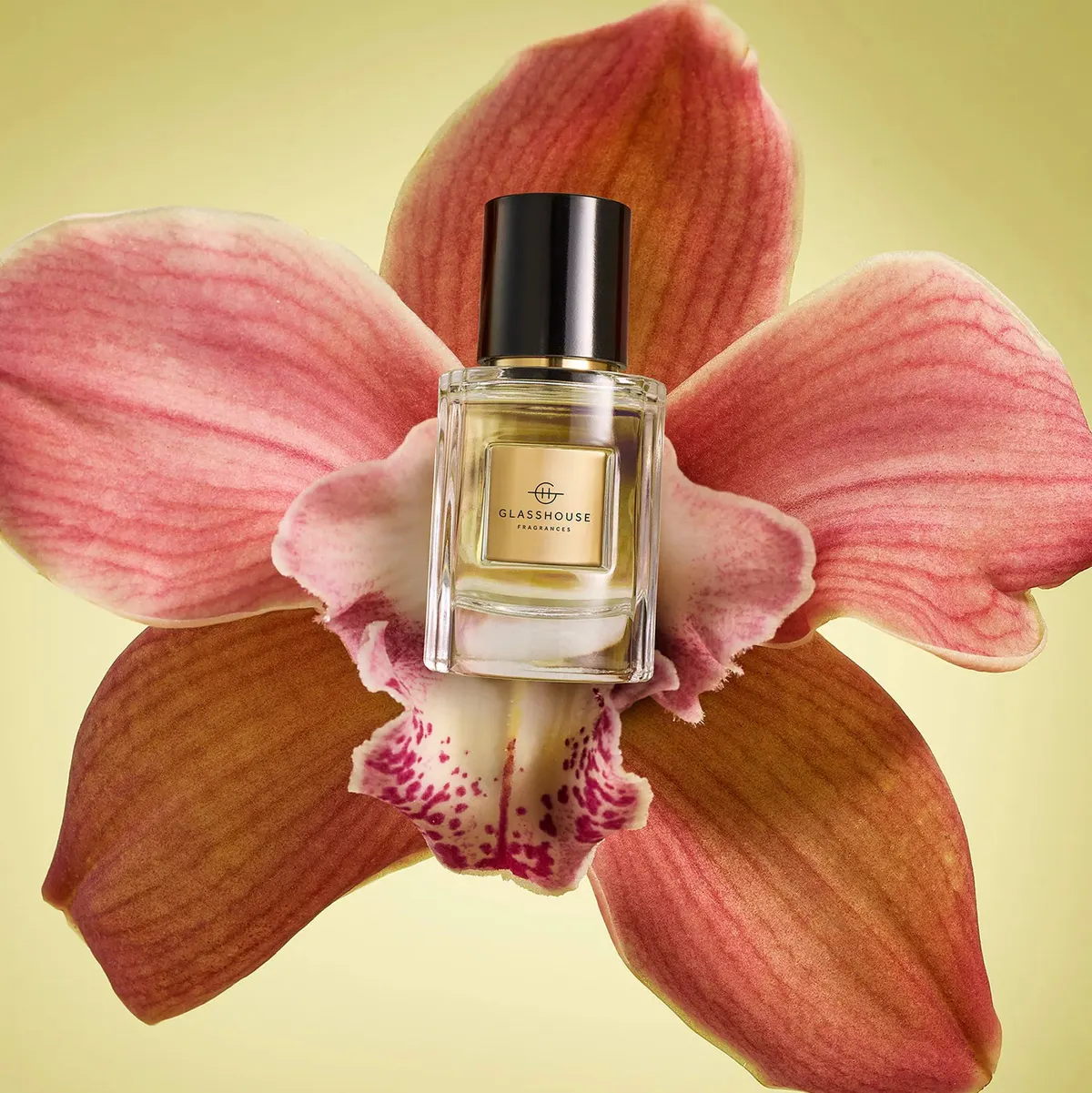 Glasshouse Fragrances TUBEROSE IMMORTELLE EDP 30ml, view 4