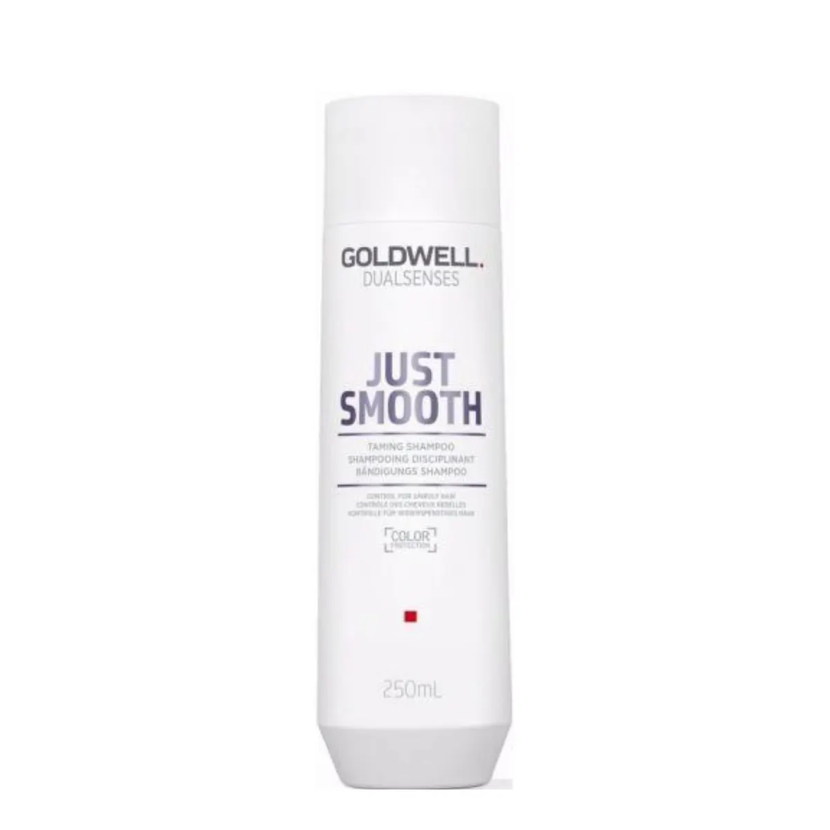Goldwell Dualsenses Just Smooth Taming Shampoo 300ml