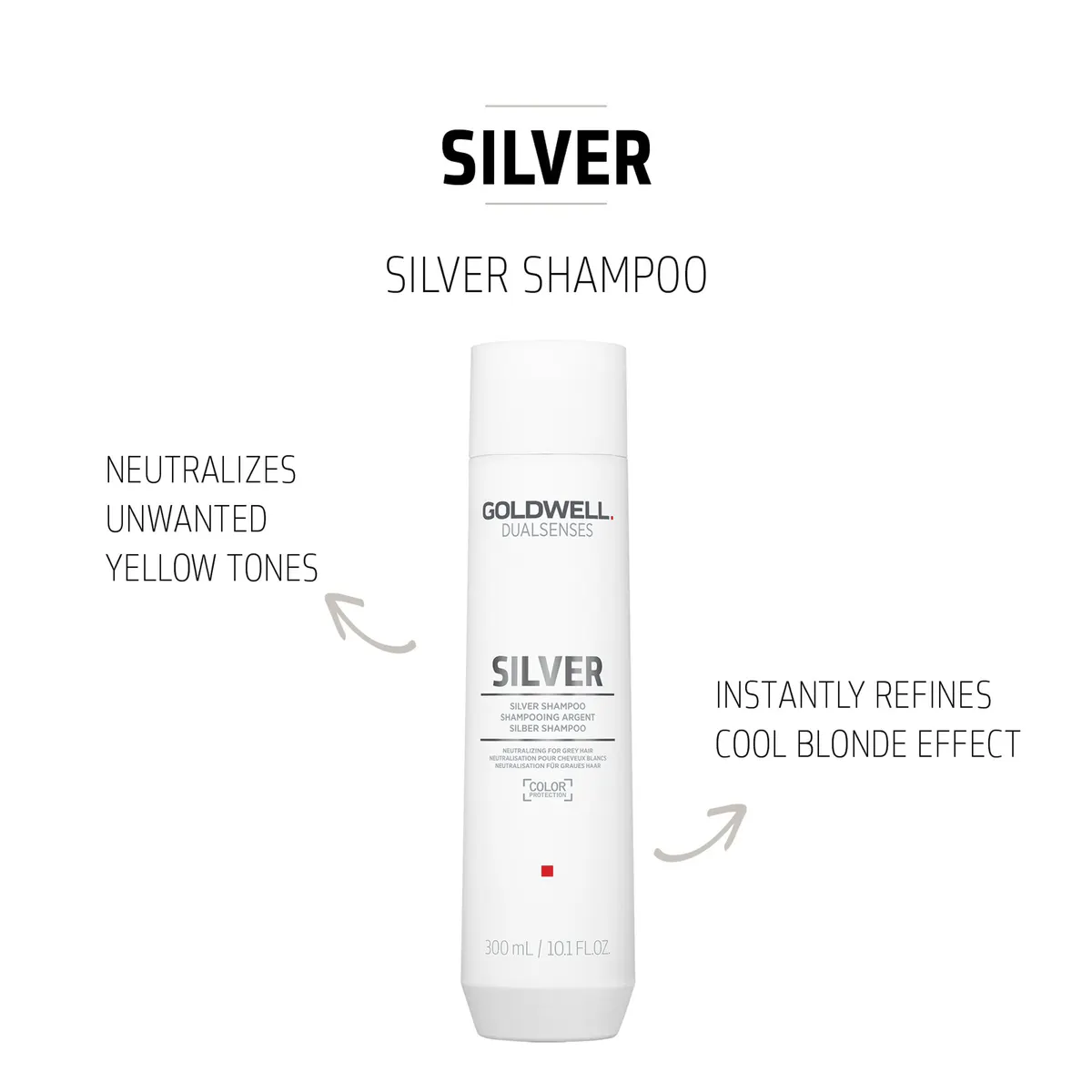 Goldwell Dualsenses Silver Shampoo 300ml, view 3