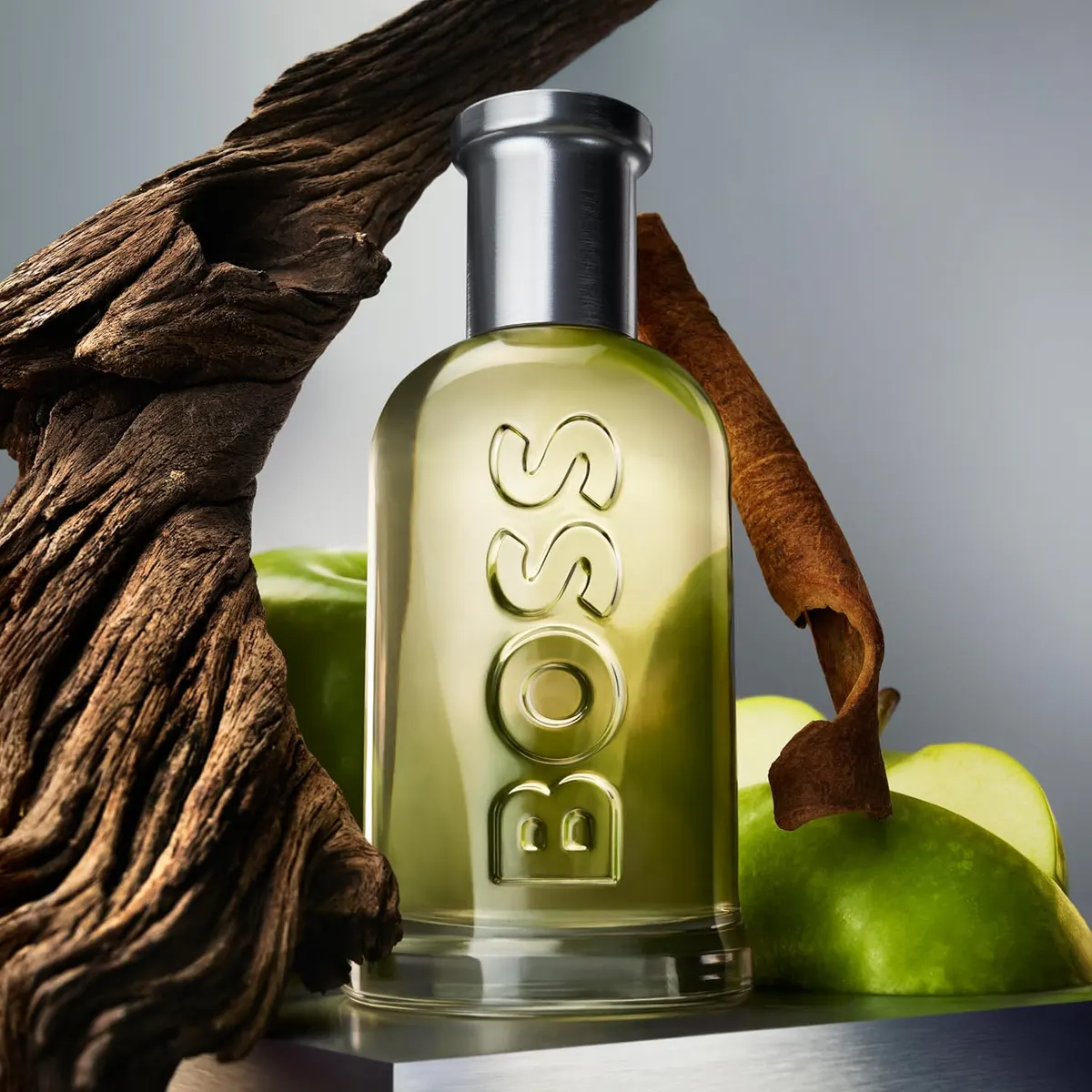 Hugo Boss Boss Bottled EDT 100ML, view 3